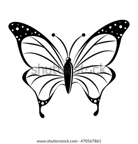 butterfly animal insect animal wings fly spring artistic vector front illustration isolated front
