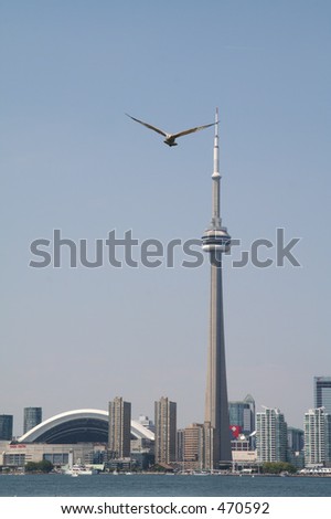 Toronto Skyline with Bird Flying By