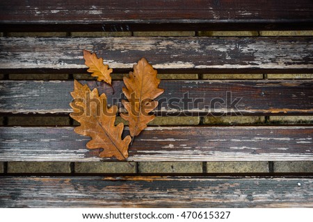 A composition of three fallen leaves on a vintage striped wooden background 
