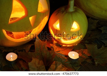 Halloween pumpkin leaves fall