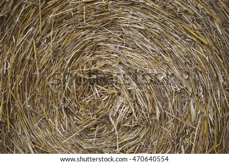Yellow hay background. Round shape.