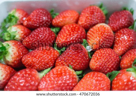 Selective focus blurred of Fresh red sweet ripe strawberries background.