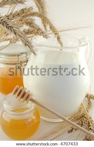 Honey and milk Royalty-Free Stock Photo #4707433