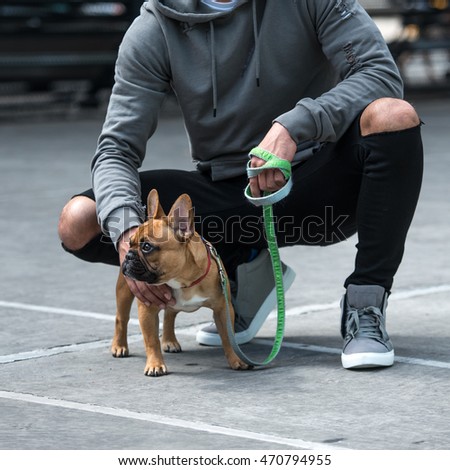Man with his pet dog French Bulldog on lead in city
