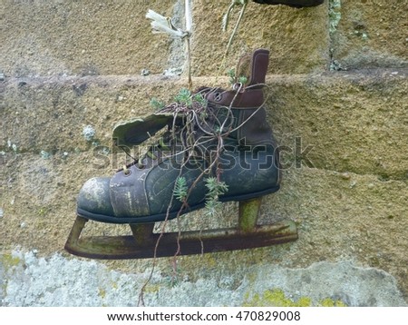 hanged flower pot made of an old ice skate
