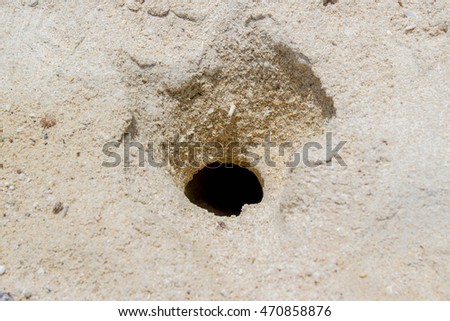 crab hole in white sand on the beach