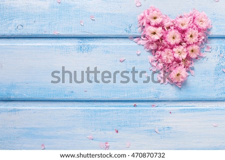 Background  with  heart from  pink  flowers and petals on blue wooden planks. Selective focus. Place for text.