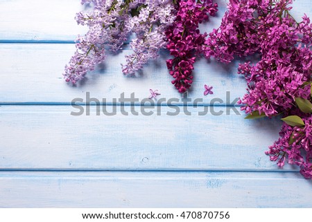 Background with fresh aromatic lilac flowers on blue wooden planks. Selective focus. Place for text. 