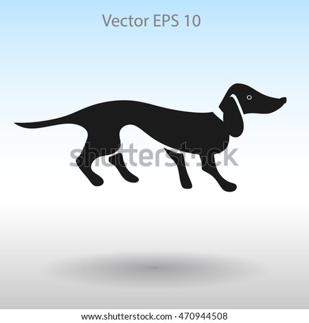 long dachshund vector illustration