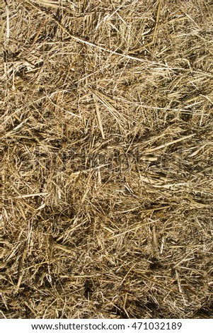 Straw used for the litter for horses in a riding school