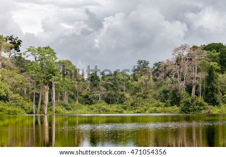 The river in Gabon, Africa Royalty-Free Stock Photo #471054356