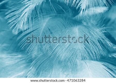 Bohemian boho style green turquoise vintage color trends chicken feather texture background