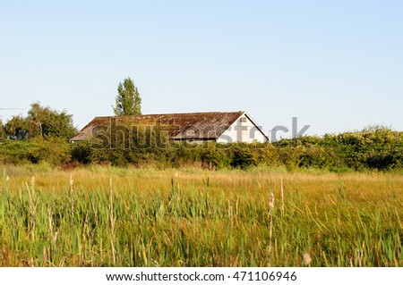 Barn in meadow in summer