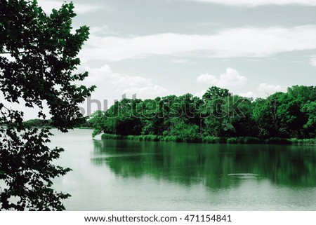 Green trees and peaceful lake in summer with cloudy sky background, filtered color tone