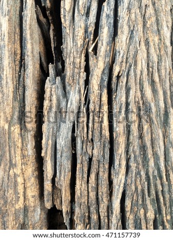 Background wood.