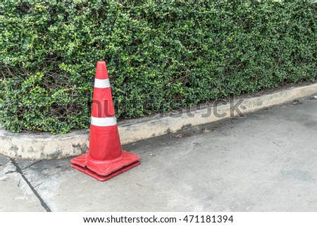 Plastic red cone and green trimmed plants on the concrete road