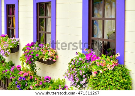 Wooden windows with pots of flowers. Tinted photo.