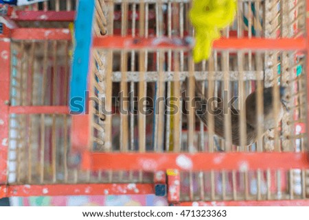 Birds in cage wait a released to freedom is a believe in buddhist