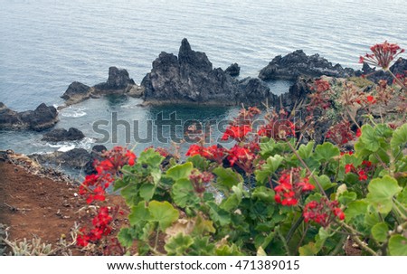 View of Madeira island.Portugal