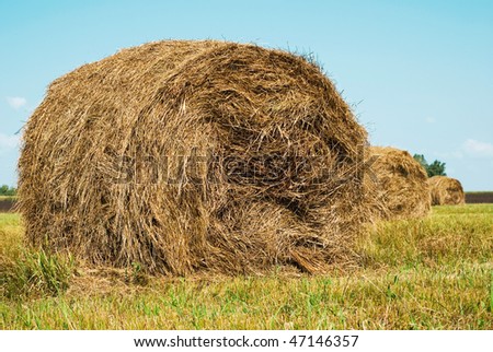 bales of hay in the summer pastures