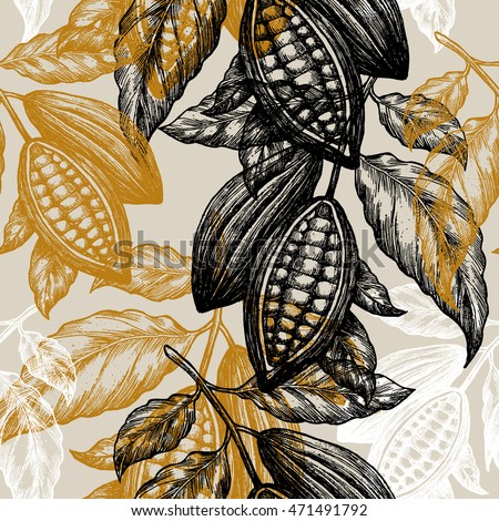 Cocoa beans seamless pattern. Cocoa tree illustration. Engraved style illustration. Chocolate cocoa beans. Vector illustration Royalty-Free Stock Photo #471491792