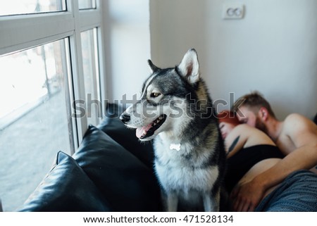 Pregnant woman, man and dog lying on a bed in the bedroom