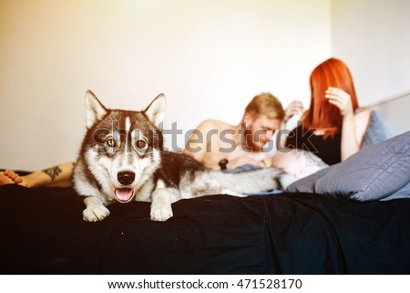 Pregnant woman, man and dog lying on a bed in the bedroom