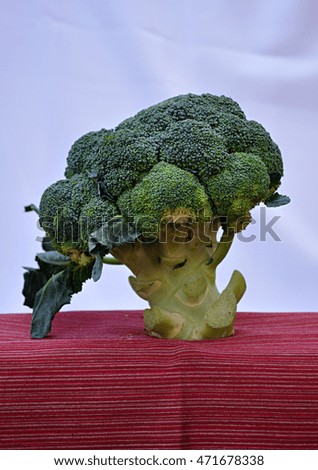 broccoli-like baobab