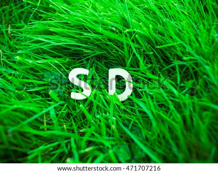S D letter on green grass ground