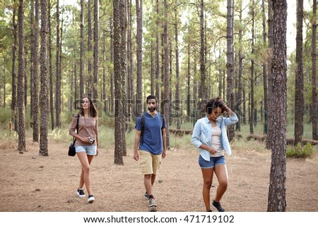 Three friends wandering in the pine tree forest in the late afternoon sunshine while wearing casual clothing