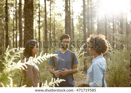 Young friends talking with each other surrounded by pine trees in the late afternoon sun while wearing casual clothing