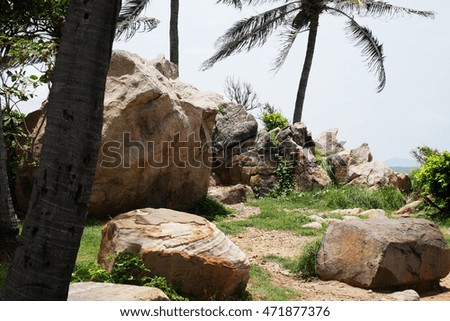 Coconut rocks by the sea