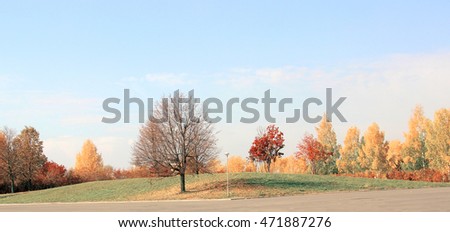 autumn panorama. the trees in the Park Royalty-Free Stock Photo #471887276