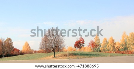 autumn panorama the trees in the Park. tilt shift blur effect Royalty-Free Stock Photo #471888695