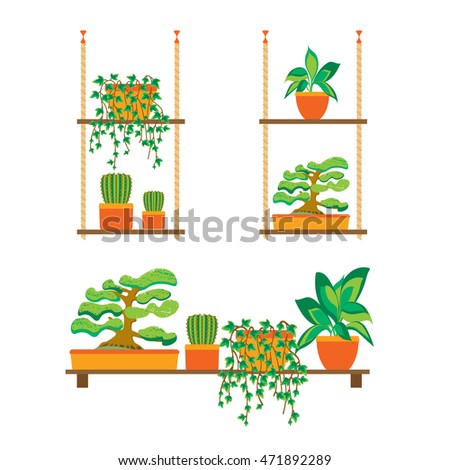 Green Plants Shelves for Home or Office. Flat Design. Vector illustration