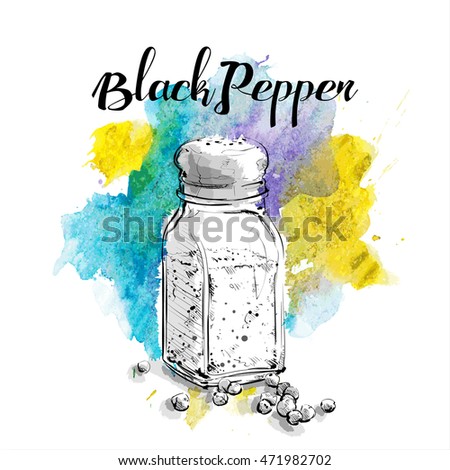 Hand draw of black pepper shaker. Vector illustration.