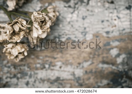 Faded roses on an old painted wooden background. Vintage style effect