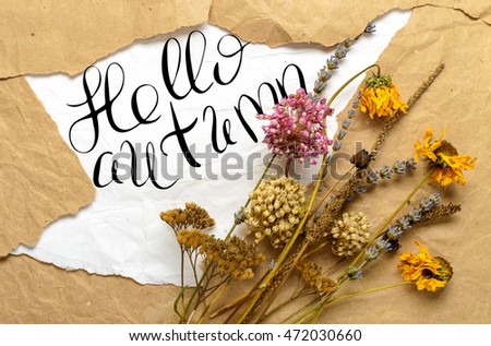 Hello autumn words. Brush lettering text. Modern brush calligraphy.  Dry flowers on the background of crumpled paper