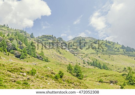Carpathian mountains, Fagaras hills with green forest pines and grass, Transfagarasan road, blue clouds sky