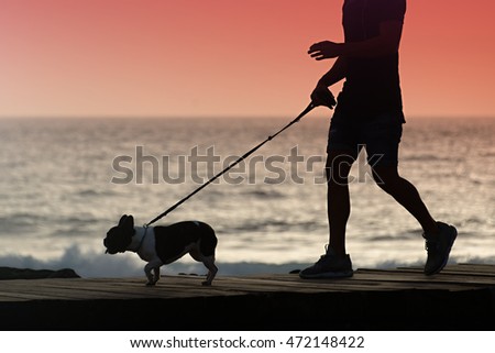 Silhouette of a young man walking a dog along the shore at sunset