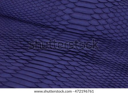 Python snakeskin leather, snake skin, texture, animal, reptile
