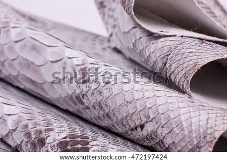 Background python snakeskin, pattern, leather, texture