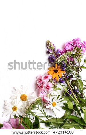 garden flowers on white wooden background view from above a flat appearance