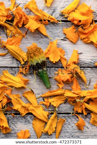Colourful orange saffron petals with seeds. Top view. Wooden backdrop. Autumn theme vertical photo