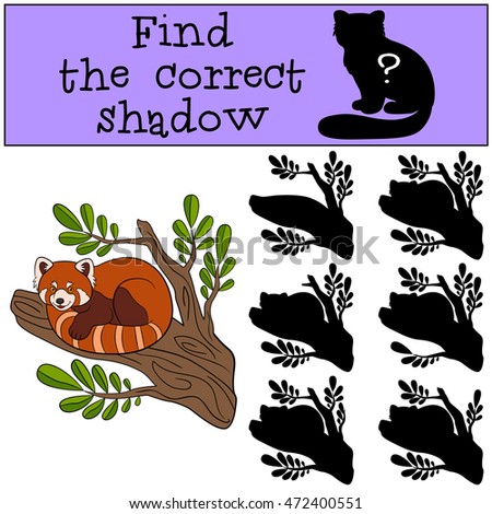 Educational game: Find the correct shadow. Little cute red panda sits on the tree branch and smiles.
