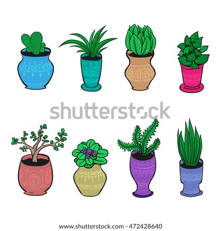 Vector set of plant in pots. Home flowers in hand drawn style collection.