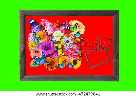 Colorful flowers, butterflies and ladybug composition on red. Wooden frame with blank space (for photo,picture or text). Nature and Art. Green background