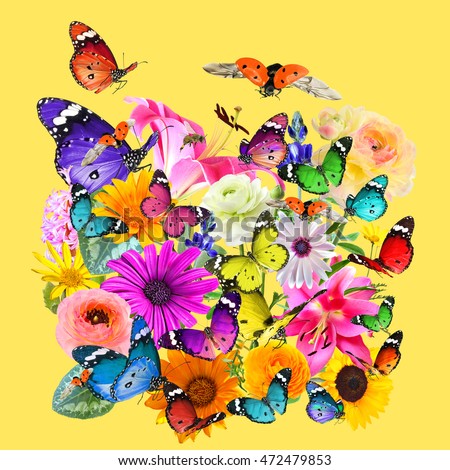 Colorful flowers, butterflies and ladybug composition on yellow background. Nature, Wildlife and Art.