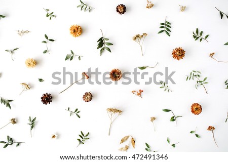 yellow dry flowers, branches, leaves and petals pattern isolated on white background. flat lay, overhead view