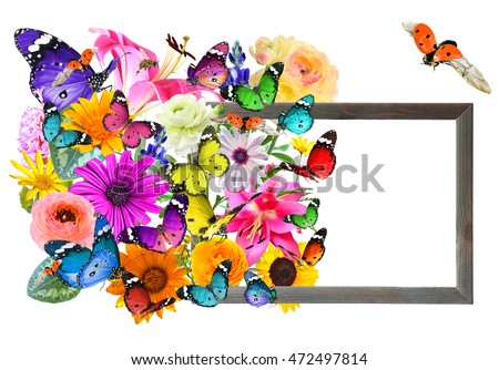 Colorful flowers, butterflies and ladybug. Wooden frame with blank space (for photo,picture or text). Nature and Wildlife Art composition isolated on white background